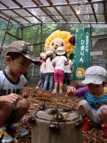 かぶとむしど～む内のひまりんと子供たちの写真