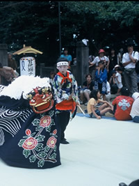 甘地の獅子舞の写真