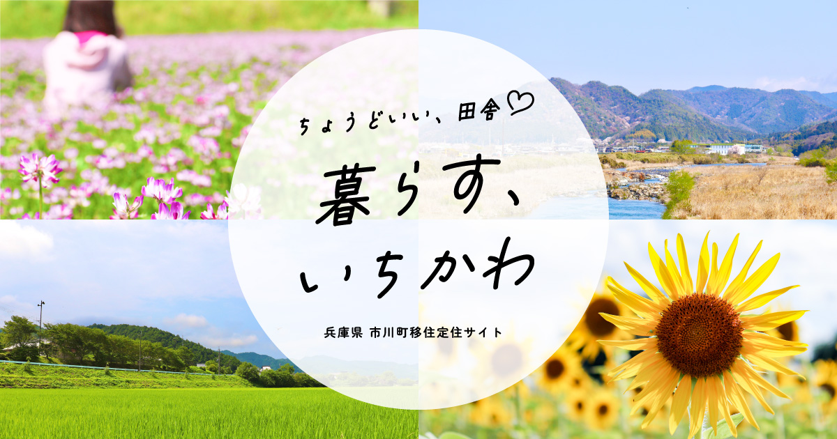 コロナ時代の仕事・家族・コミュニティ : 兵庫県民の声からみるウィズ/ポストコ… コロナ時代の仕事・家族・コミュニティ:兵庫県民の声からみる