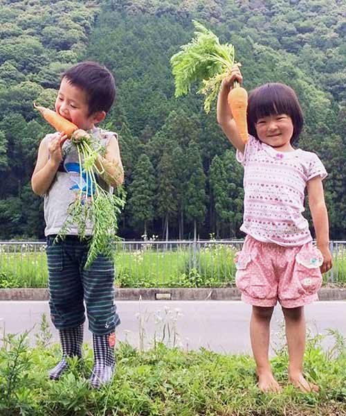 移住後の生活について