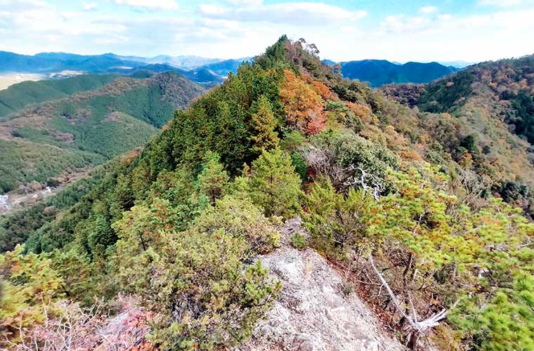 移住後の生活について